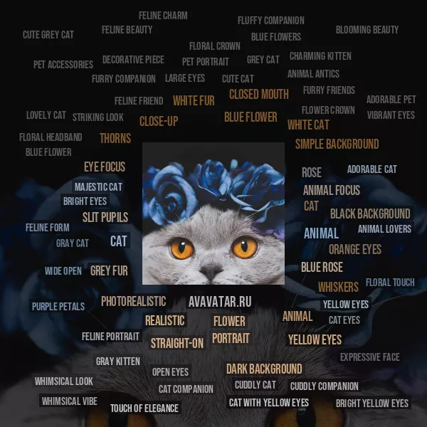 Tag Cloud