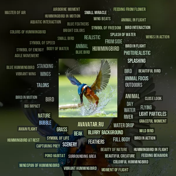 Tag Cloud