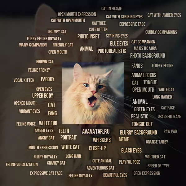 Tag Cloud