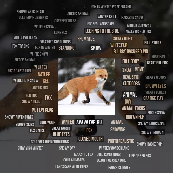 Tag Cloud