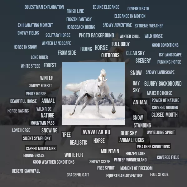 Tag Cloud