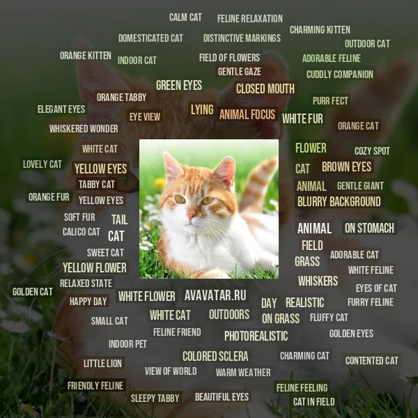 Tag Cloud