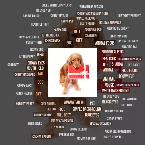 Tag Cloud