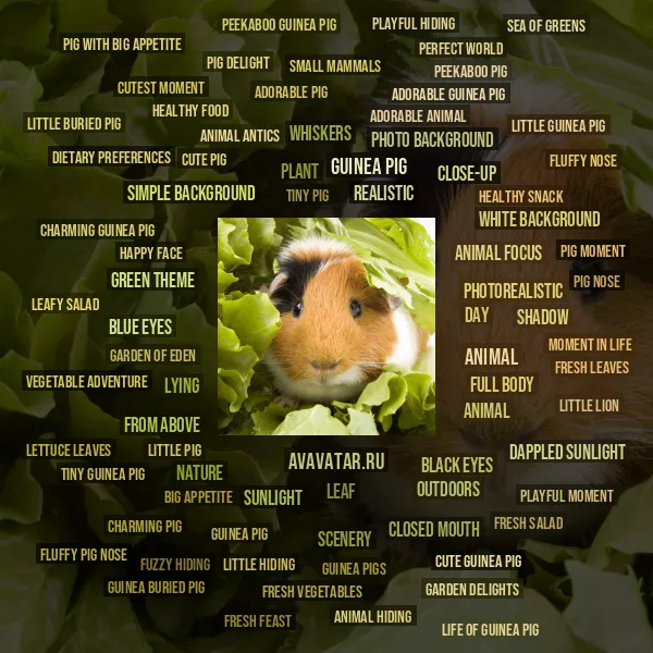 Tag Cloud