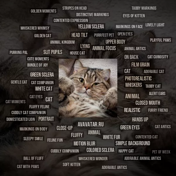 Tag Cloud