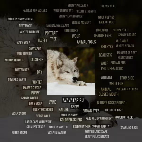 Tag Cloud