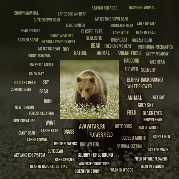 Tag Cloud