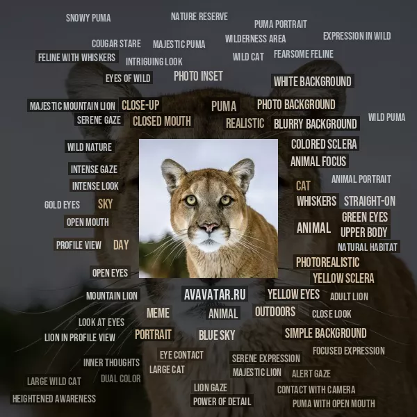 Tag Cloud