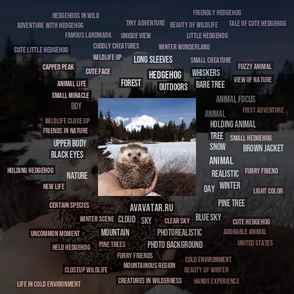 Tag Cloud