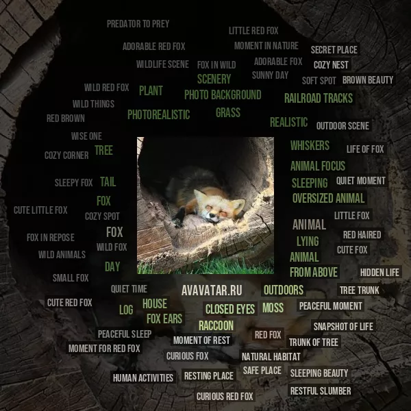Tag Cloud